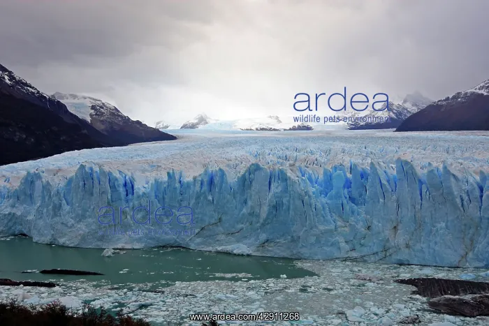 : Perito Moreno Glacier - Glacier National Park : Perito Moreno Glacier - Glacier National Park