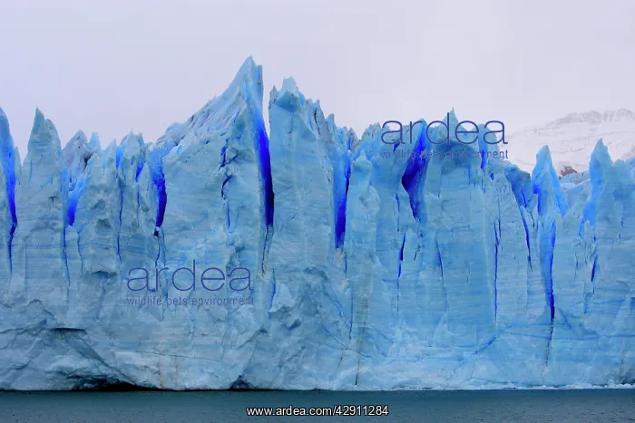 : Perito Moreno Glacier - Glacier National Park : Perito Moreno Glacier - Glacier National Park