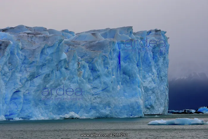: Perito Moreno Glacier - Glacier National Park : Perito Moreno Glacier - Glacier National Park