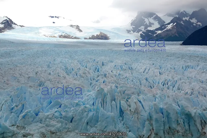 : The Perito Moreno Glacier located in the : The Perito Moreno Glacier located in the