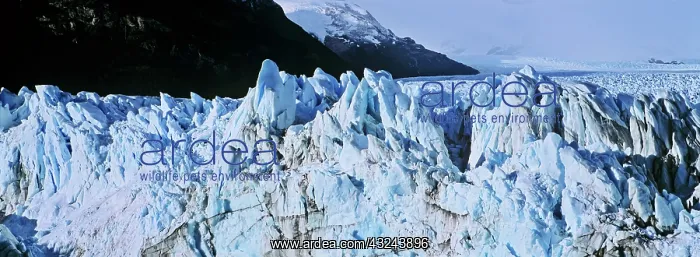 : Perito Moreno Glacier in the Los Glaciares : Perito Moreno Glacier in the Los Glaciares