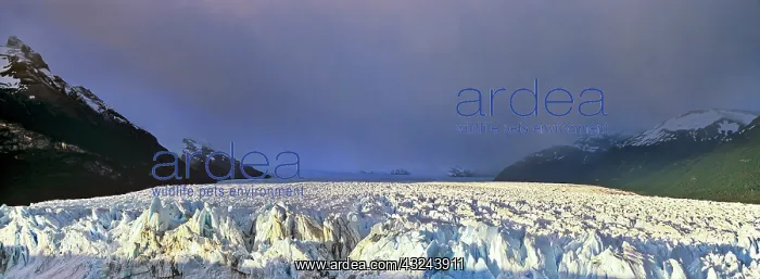 : Perito Moreno Glacier in the Los Glaciares : Perito Moreno Glacier in the Los Glaciares