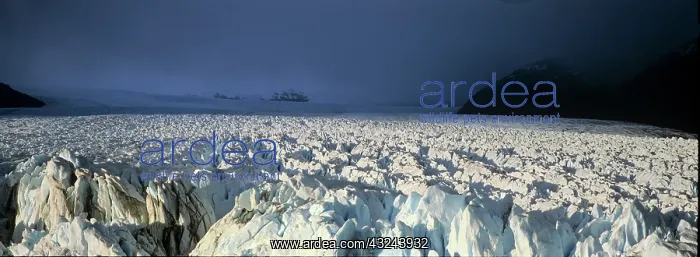 : Perito Moreno Glacier in the Los Glaciares : Perito Moreno Glacier in the Los Glaciares