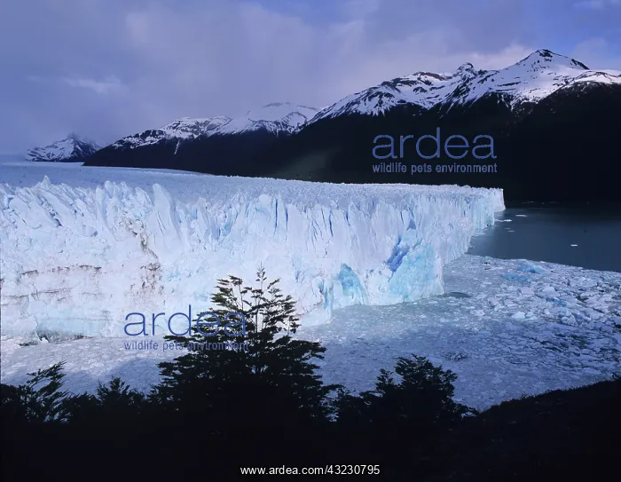 : Perito Moreno Glacier, Patagonia, near : Perito Moreno Glacier, Patagonia, near