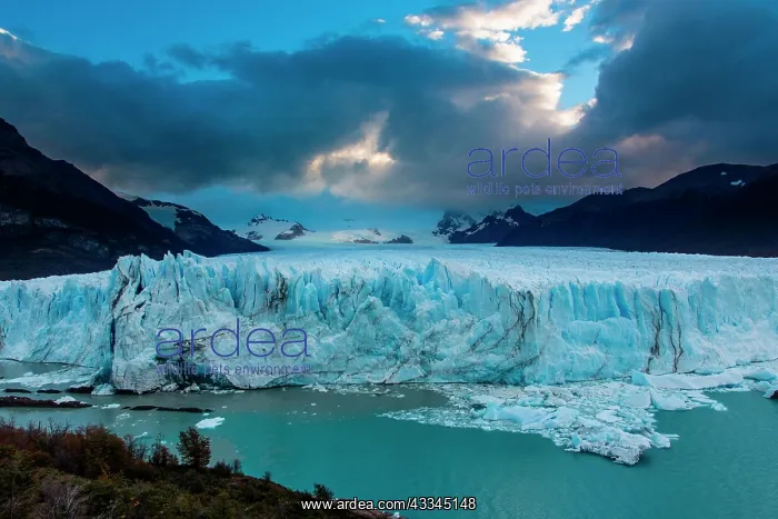 : Perito Moreno Glacier Rugged Ice Field, Los Glaciares : Perito Moreno Glacier Rugged Ice Field, Los Glaciares