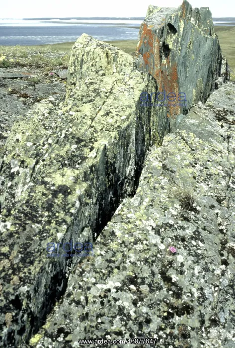 : Permafrost frost heave : Permafrost frost heave