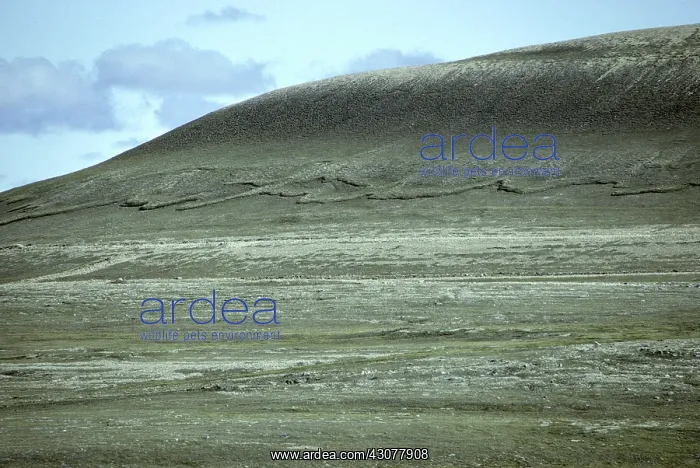 : Permafrost solifluction : Permafrost solifluction