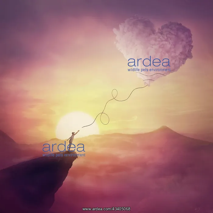 : A person on the cliff and a heart shaped cloud like : A person on the cliff and a heart shaped cloud like
