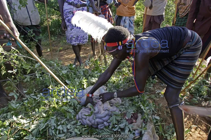 : Person during the Pokot Sapana Ceremony Kenya : Person during the Pokot Sapana Ceremony Kenya