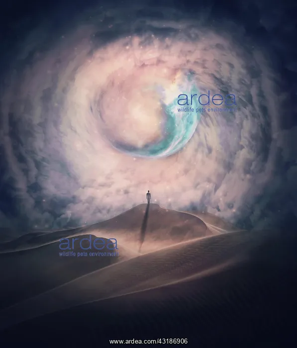 : Person silhouette on the top of a dune in a desert : Person silhouette on the top of a dune in a desert