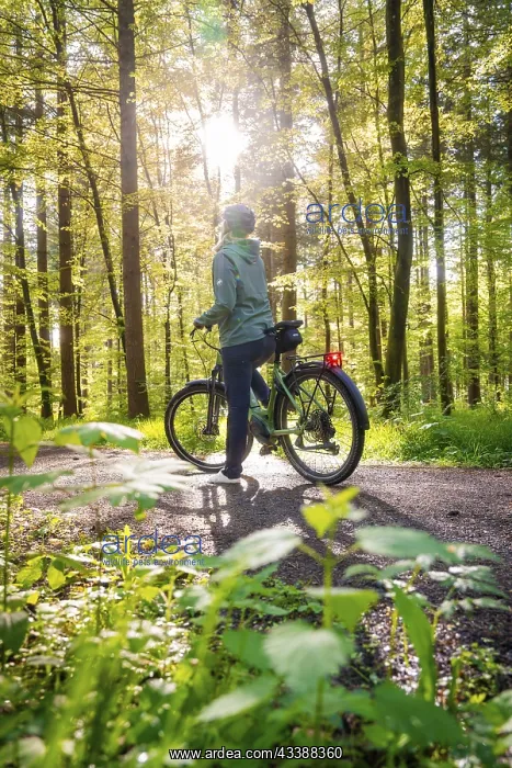  : A person stops on a bicycle, sunbeams penetrate