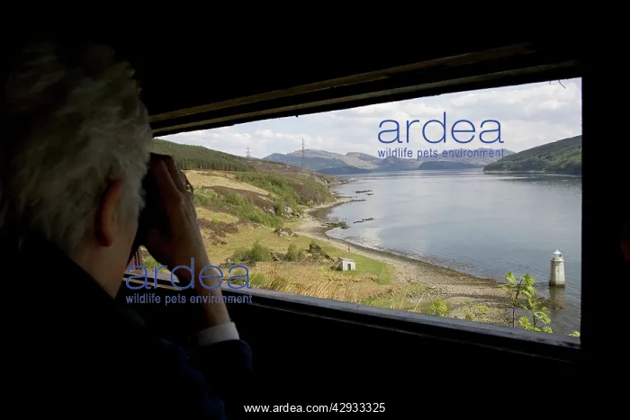 : PERSON watching with binoculars in otter hide : PERSON watching with binoculars in otter hide