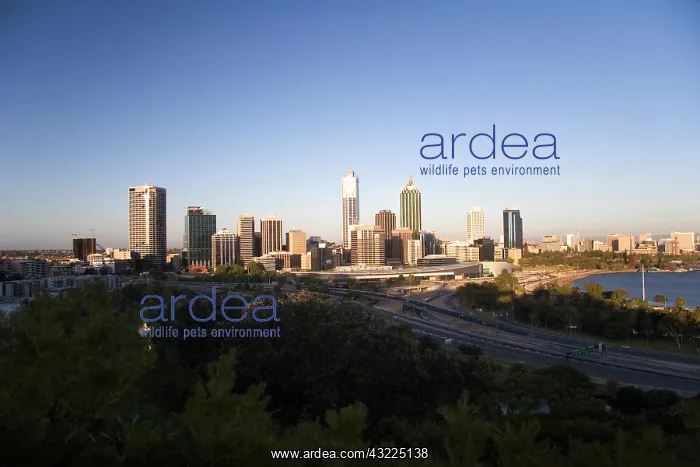 : Perth, Australia. View of downtown Perth : Perth, Australia. View of downtown Perth