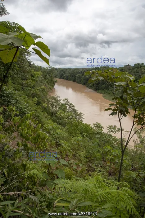 : PERU : PERU