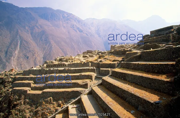 : Peru - Inca site of Ollantaytambo : Peru - Inca site of Ollantaytambo