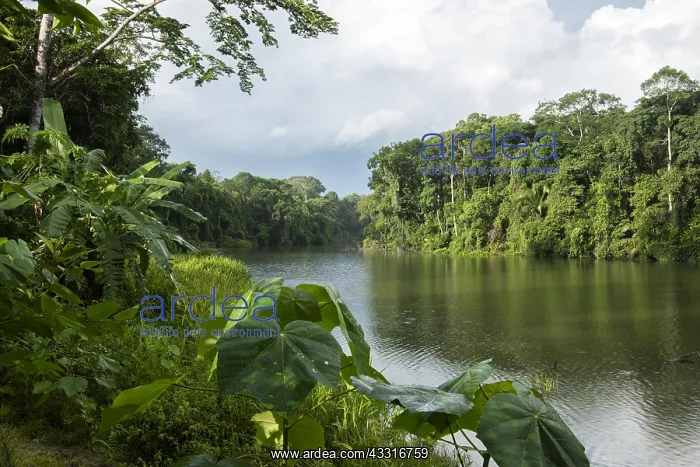 : PERU. Lake Soledad, south-eastern Peru, near the : PERU. Lake Soledad, south-eastern Peru, near the