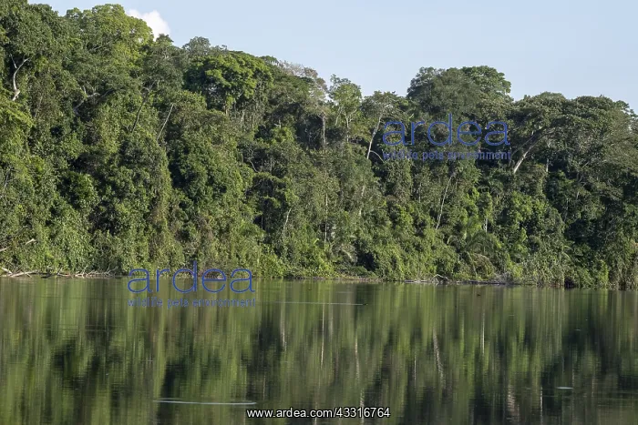 : PERU. Lake Soledad, south-eastern Peru, near the : PERU. Lake Soledad, south-eastern Peru, near the