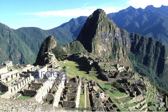 : Peru - Machu Picchu, the city below Huayna Picchu : Peru - Machu Picchu, the city below Huayna Picchu