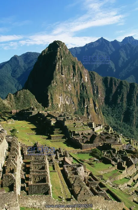 : Peru - Machu Picchu. The city below Huayna Picchu mountain : Peru - Machu Picchu. The city below Huayna Picchu mountain