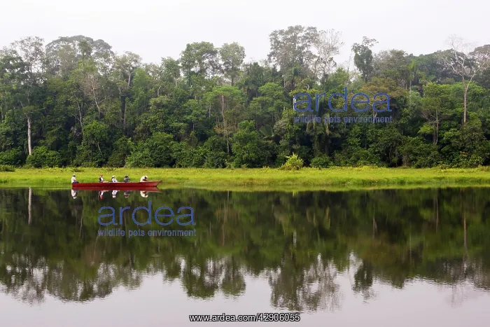  : Peru. Manu Wildlife Reserve