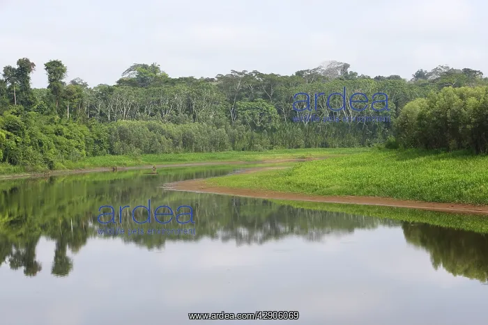  : Peru. Manu Wildlife Reserve