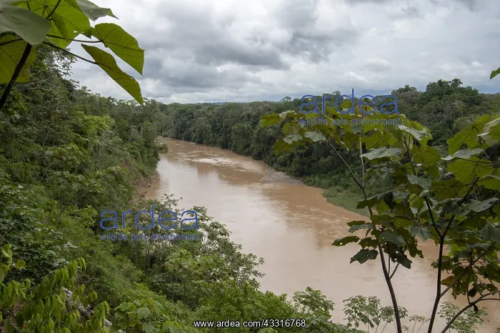 : PERU. River Las Piedras, south-eastern Peru Amazon : PERU. River Las Piedras, south-eastern Peru Amazon