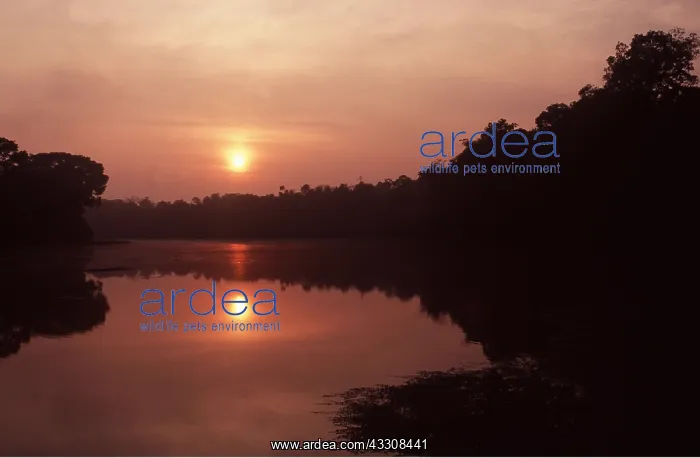 : Peru - sunrise at Laguna Juarez : Peru - sunrise at Laguna Juarez