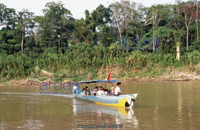 : PERU - Tourist boat (Manu Nature tours) Manu River : PERU - Tourist boat (Manu Nature tours) Manu River