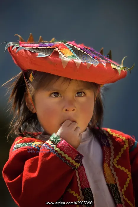  : Peruvian child - near Cusco city - Peru