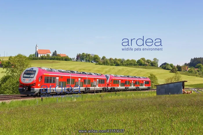 : Pesa Link Regional train of Deutsche Bahn DB with : Pesa Link Regional train of Deutsche Bahn DB with