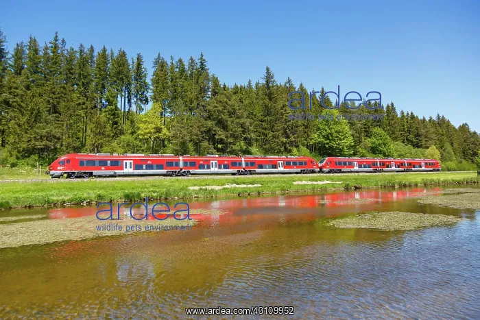 : Pesa Link Regional train of Deutsche Bahn DB Bayern : Pesa Link Regional train of Deutsche Bahn DB Bayern