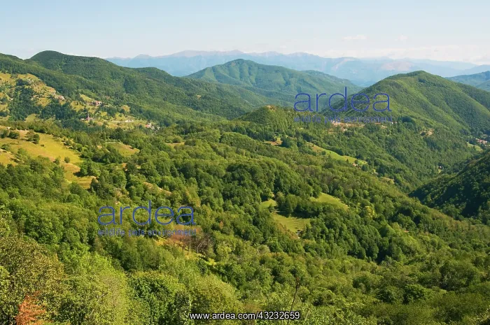 : Pescaglia Mountains, Apuan Alps (Alpi Apuane) : Pescaglia Mountains, Apuan Alps (Alpi Apuane)