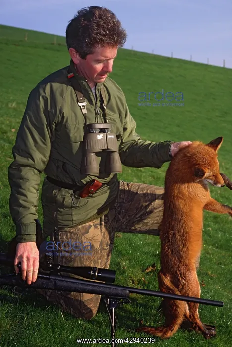  : Pest Control: kneeling rifleman holds dead fox