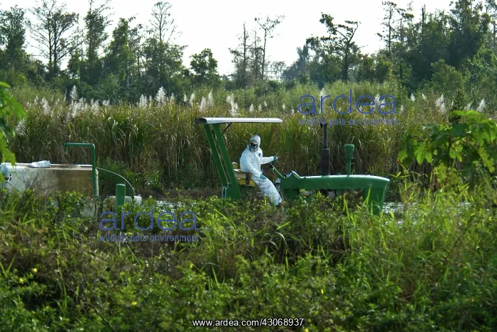 : Pesticide. Spraying an agricultural field with pesticide, Florida : Pesticide. Spraying an agricultural field with pesticide, Florida