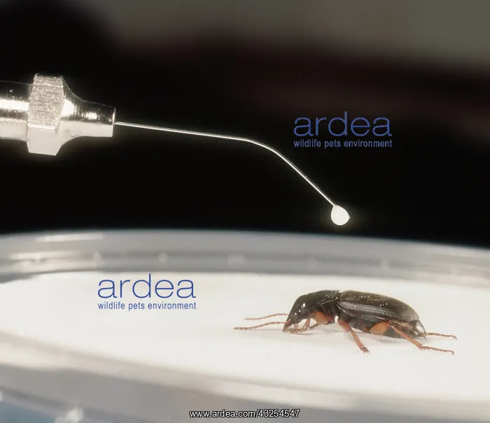: Pesticide testing : Pesticide testing
