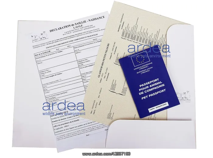 : Pet Passport - & pedigree documents : Pet Passport - & pedigree documents