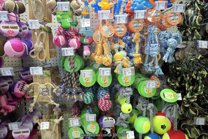  : Pet Shop selling dog toys
