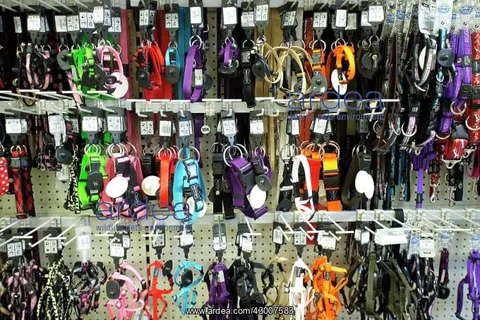  : Pet Shop selling leashes and collars