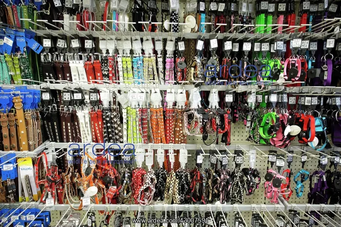  : Pet Shop selling leashes and collars