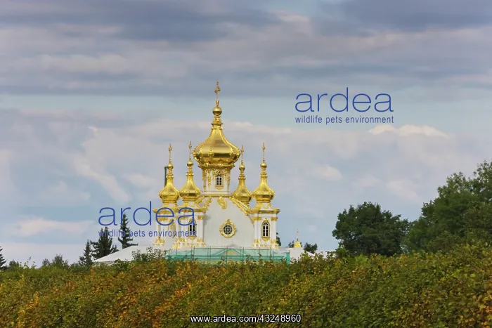 : Peterhof Petrodvorest Palace, Saint Petersburg : Peterhof Petrodvorest Palace, Saint Petersburg