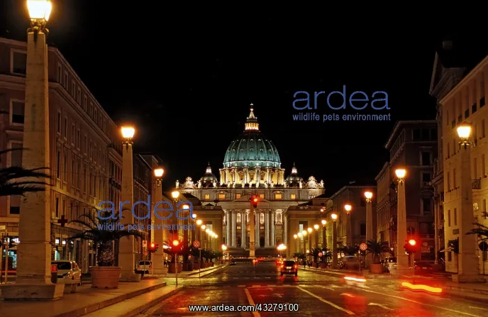 : Petersdom, Italien, Rom, Vatikanstadt | St Peters : Petersdom, Italien, Rom, Vatikanstadt | St Peters