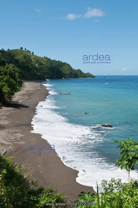 : Petit Bordel Bay, St. Vincent and the Grenadines : Petit Bordel Bay, St. Vincent and the Grenadines