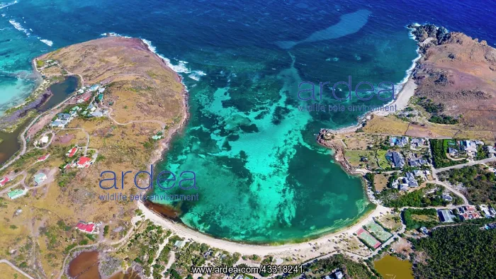 : Petit Cul-De-Sac, public beach, Caribbean Sea, Saint : Petit Cul-De-Sac, public beach, Caribbean Sea, Saint