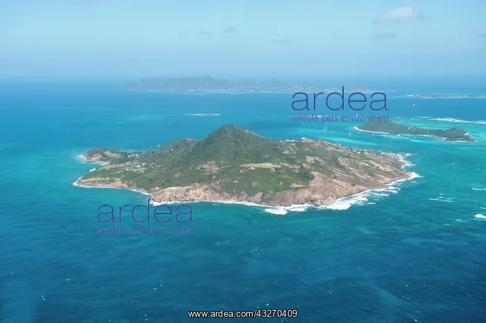 : Petit Martinique, St. Vincent and the Grenadines : Petit Martinique, St. Vincent and the Grenadines