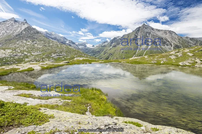 : Petit Mont Cenis pass, from left to right: Dents : Petit Mont Cenis pass, from left to right: Dents