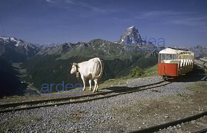 : The Petit train d'Artouste France : The Petit train d'Artouste France