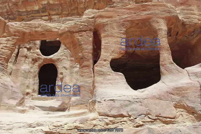  : Petra - Jordan