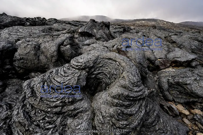 : Petrified lava, volcanic rock in bizarre shapes : Petrified lava, volcanic rock in bizarre shapes