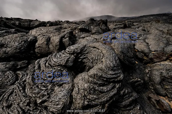 : Petrified lava, volcanic rock in bizarre shapes : Petrified lava, volcanic rock in bizarre shapes