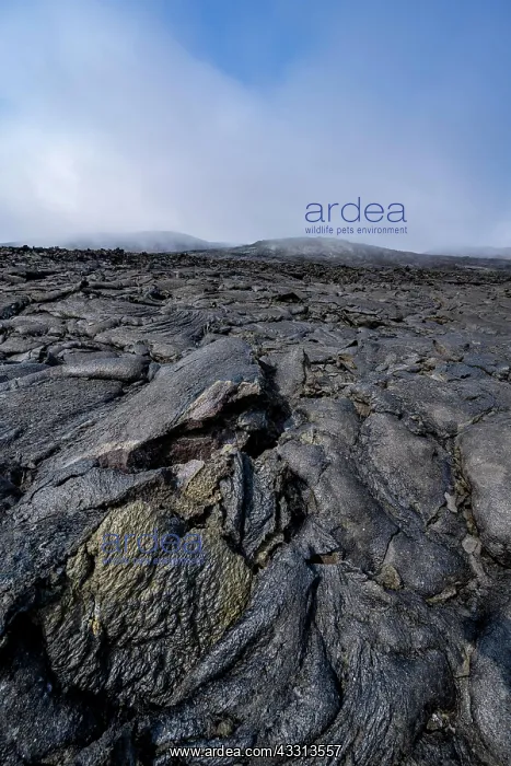 : Petrified lava, volcanic rock in bizarre shapes : Petrified lava, volcanic rock in bizarre shapes